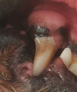 20210717_103526 (5)_edited.jpg