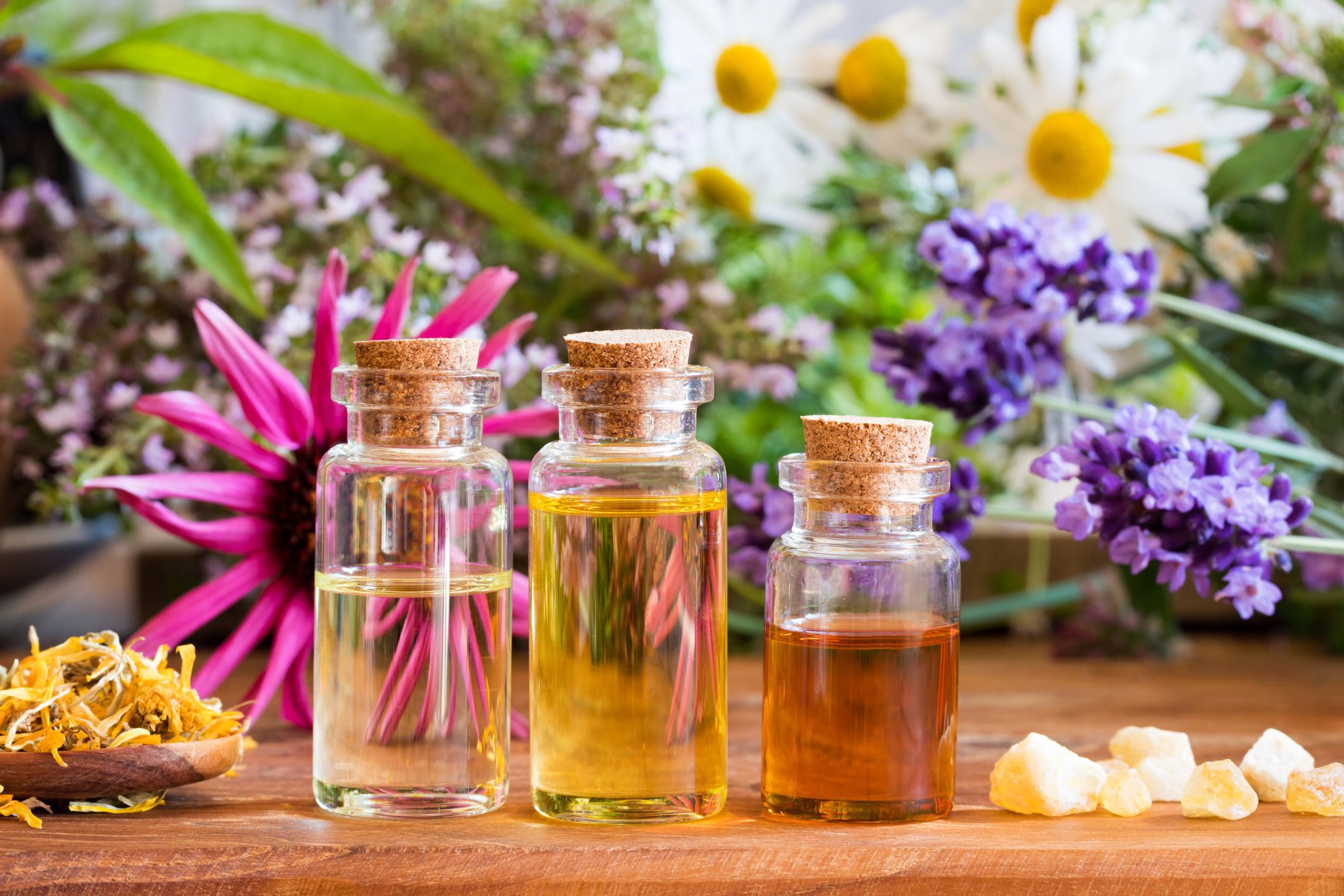 Essential Oils content media