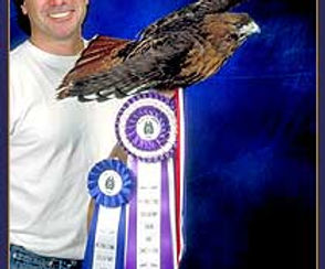 glen-with-bestofshow-hawk.jpg