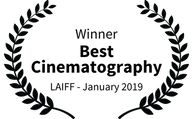Winner Cinema LAIFFA.png