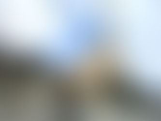 【庭木伐採】一般住宅での伐採作業