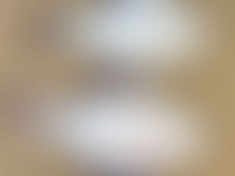 噴火湾沖の釣果情報