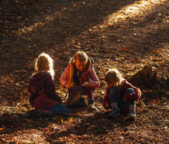 Drei Kinder untersuchen das Laub im Düsseldorfer Wald