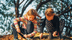 Waldspaziergang für Kinder
