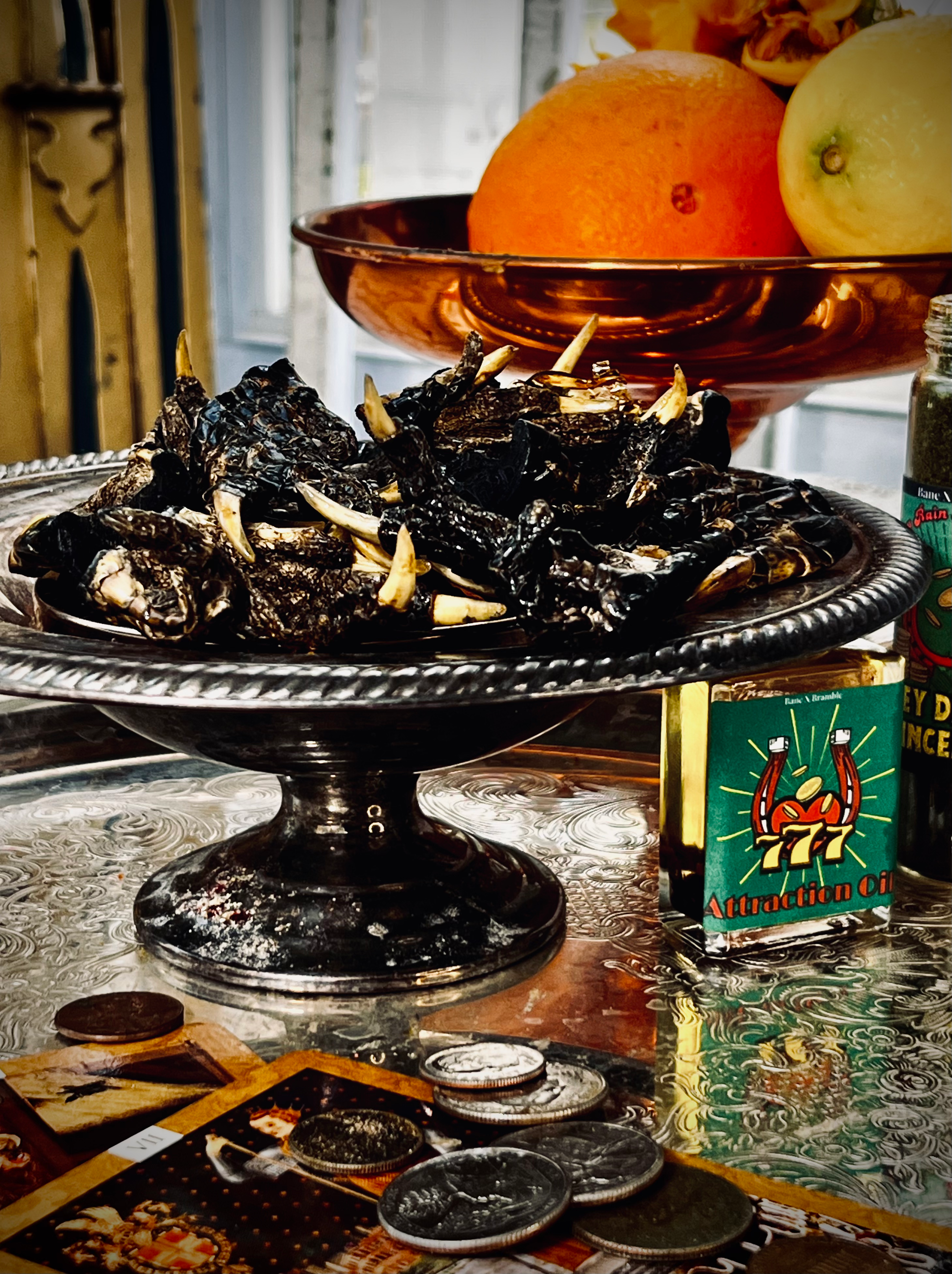 A pile of dried alligator paws (gator paws) sit in a dish on a money altar for money, wealth, and prosperity magic.