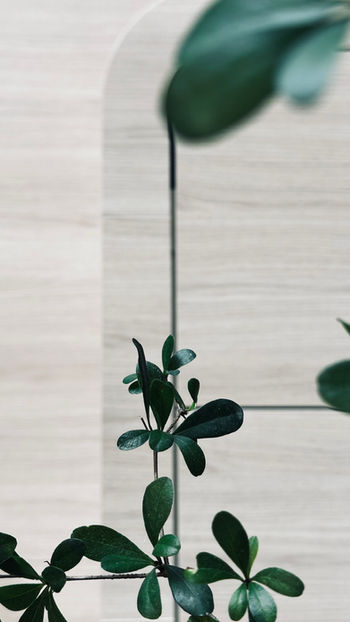 HOE - Company "Hörbiger" wien :: interior design 2025