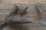 Grote clausilia