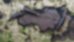 Vale clausilia