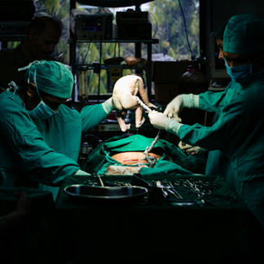 Cesarean Rates in Atlanta