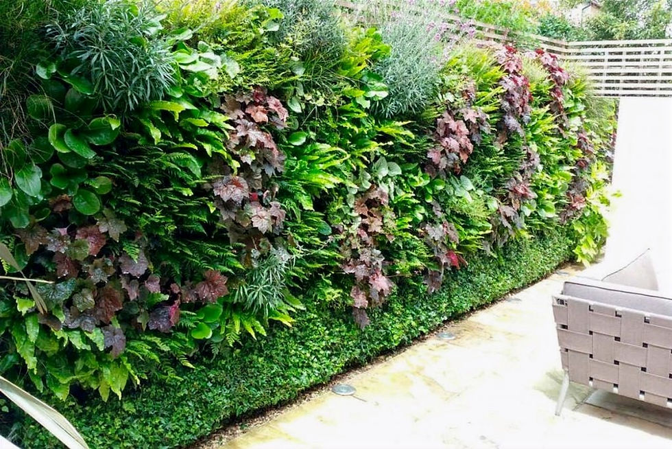 Living Walls Plant Walls Uk United Kingdom