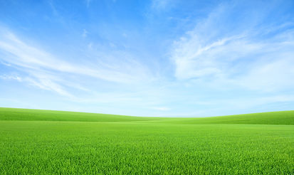 Landscape view of green grass field with blue sky background..jpg
