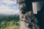 iStock-1378744305.jpg