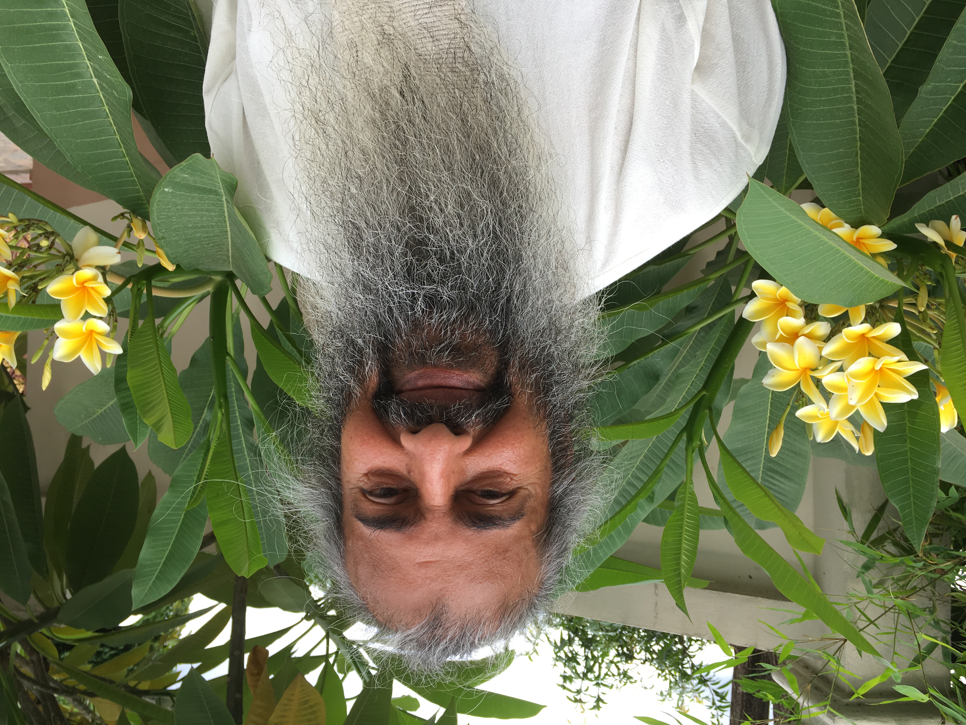 Adiatmana (Babajaan), Thailand, July 2017