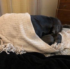 IMG_1067.jpeg