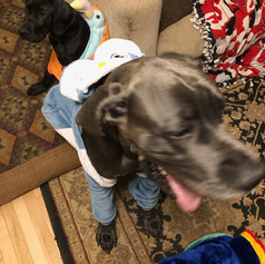 IMG_1750.jpeg
