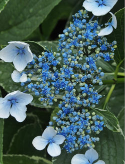 No-0002