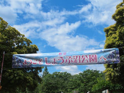 No-0017