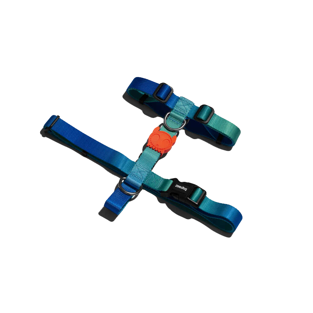 Tide רתמת חזה מעוצבת