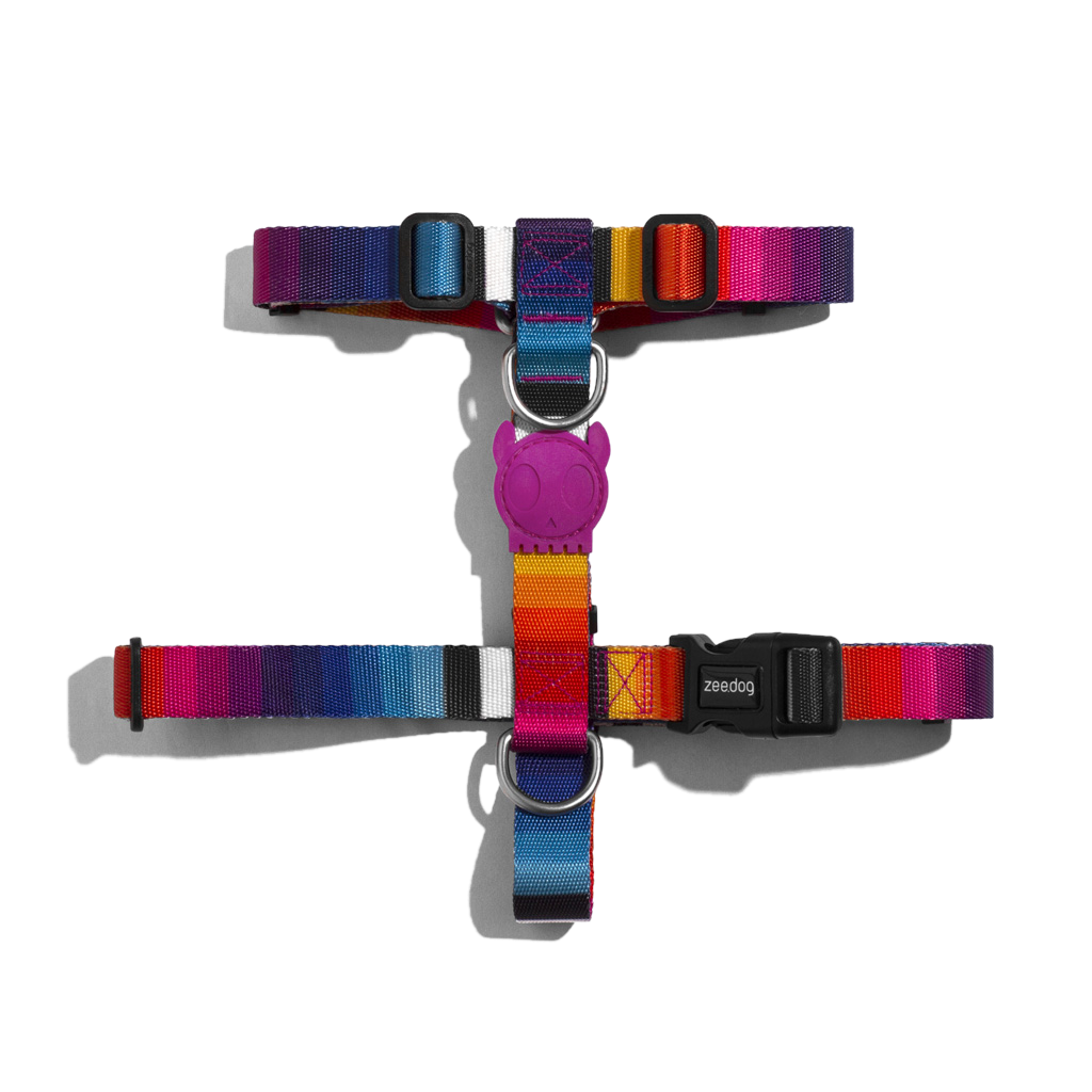 ריתמת חזה לכלב PRISMA