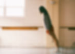 Dance, Ballet, Digital Media, Pies, Blog
