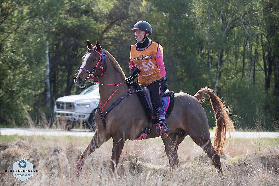 Endurance Ermelo