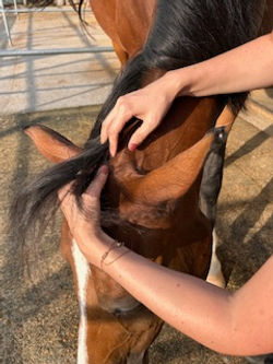 mit viel Fingerspitzengefühl