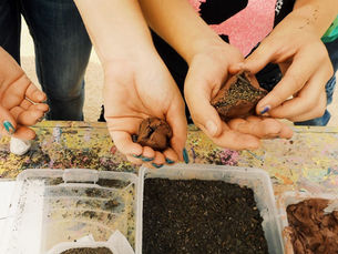 From Seed to Stewardship: A New Partnership with Renee’s Garden