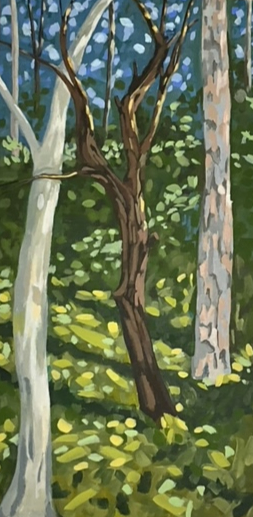 Depiction of eucalyptus trees at the garden of Susanne Thomas in Mundaring