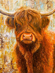 Sue Findlay