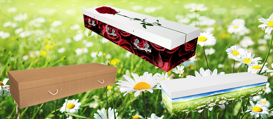 linkedin_daisybox.png
