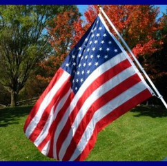 💖 "Flag Day" - June 14th 💜 💙 💖 💙 💜