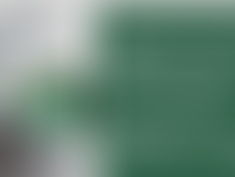 A melhor opção de tela mosquiteira