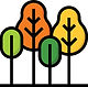 FOREST.jpg