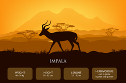 animais_impala