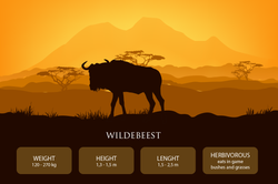 animais_gnu