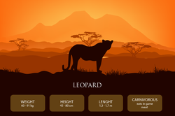 animais_leopardo