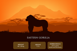 animais_gorila_montanha