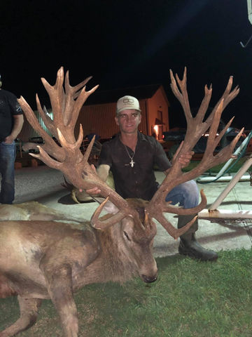 trophy red stag hunting