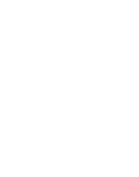 4_OPINIONS_Logo_Breakout_vectors_medium_