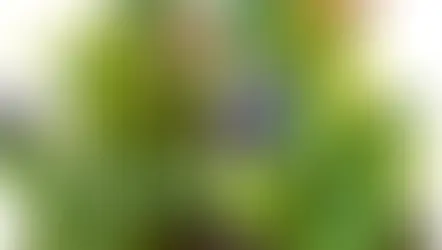 Fleurs et Vins pour Pâques