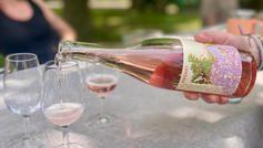 1ère vague de rosés