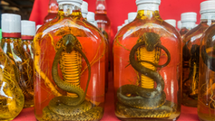 Vins atypiques et bizarres