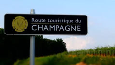 La filière Champagne