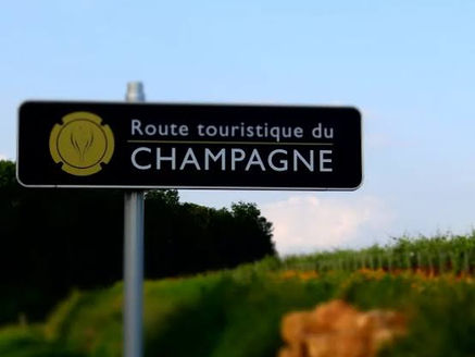 La filière Champagne