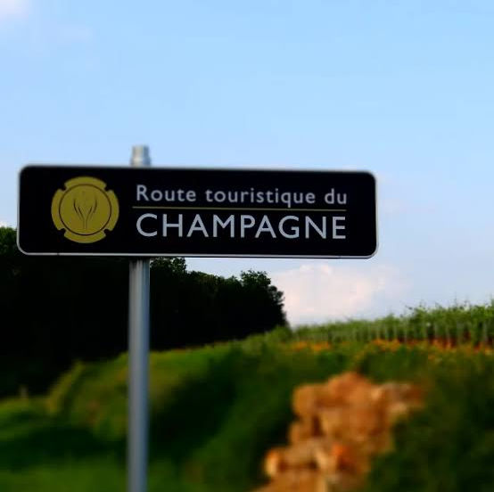 La filière Champagne