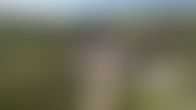 La Grande dégustation et le coup de cœur bourguignon