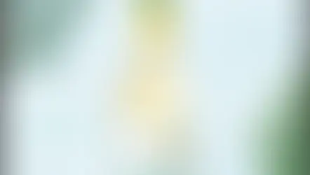 Le vin le plus vendu depuis longtemps 