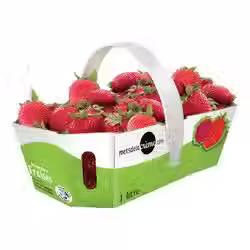 Nos fraises québécoises depuis 5 décennies