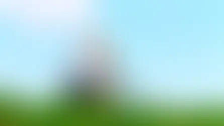 La retraite, un temps pour ….