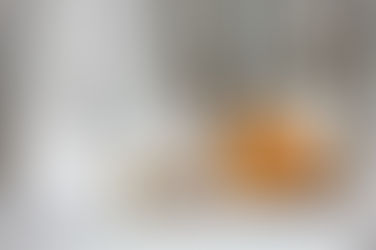 Campings insolites toute l'année